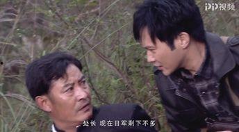 终结杉计划 电视剧,揭秘神秘组织背后的惊天阴谋